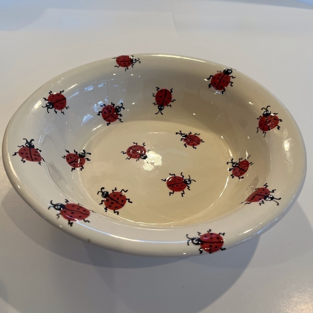 Adorable Handmade Pottery Bowl - “Lady Bug Haven”